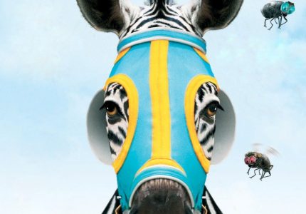 Racing Stripes