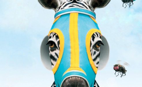 Racing Stripes