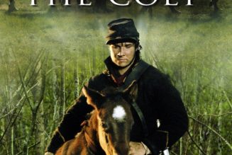 The Colt