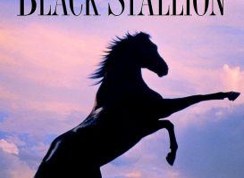 The Black Stallion