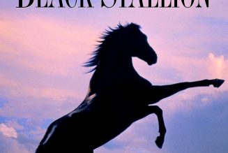 The Black Stallion