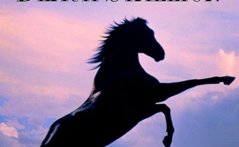 The Black Stallion