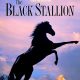 The Black Stallion
