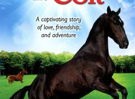Summer of the Colt (1991)