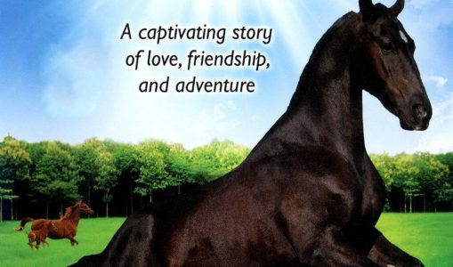 Summer of the Colt (1991)