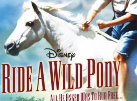 Ride a Wild Pony