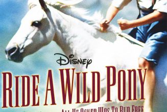 Ride a Wild Pony