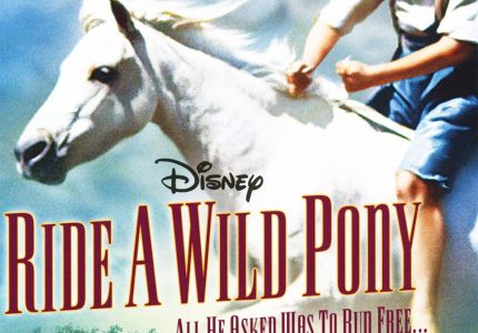 Ride a Wild Pony