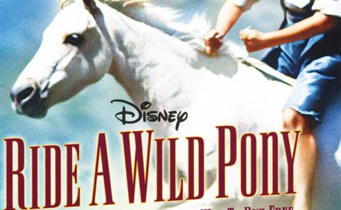 Ride a Wild Pony
