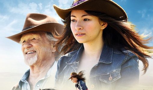 Midnight Stallion (2013)