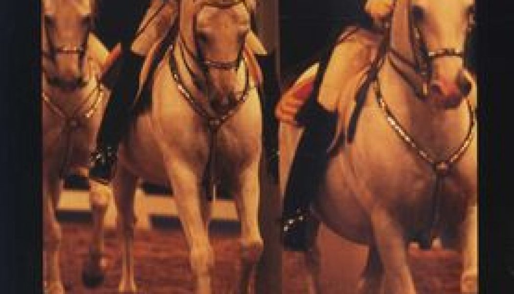 The White Horses of Lipizza