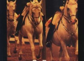 The White Horses of Lipizza