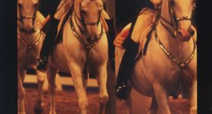 The White Horses of Lipizza