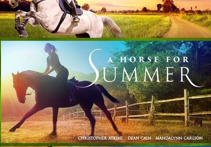 WIN a horsey DVD Box Set!