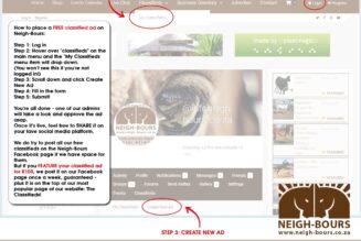 Free FEATURED classifieds on Neigh-Bours til 31 Jan!
