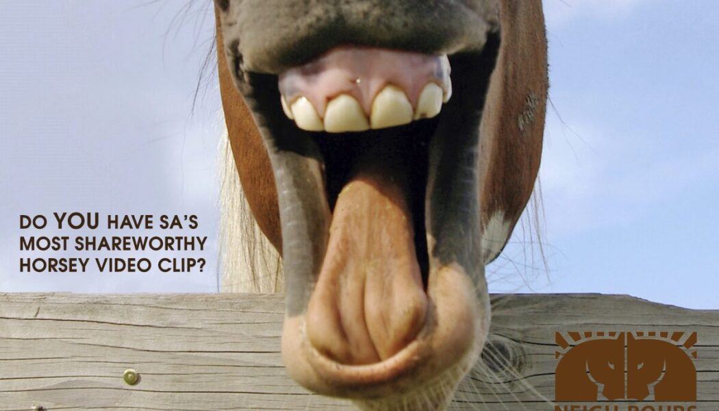 Do YOU have SA’s most shareworthy horse?