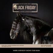 Black Friday Promo Code