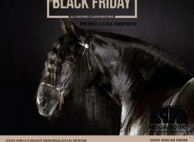 Black Friday Promo Code