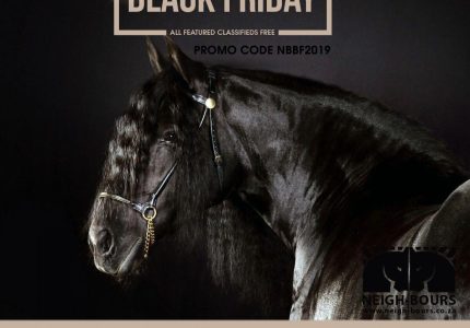 Black Friday Promo Code