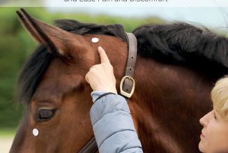 Acupressure for Horses – Hands-On Techniques to Solve Performance Problems and Ease Pain and Discomfort – Ina Gosmeier (2016)