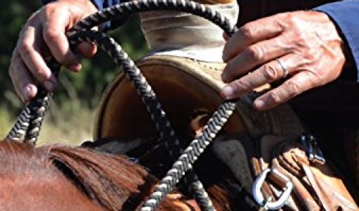 A Journey to Softness: In Search of Feel and Connection with the Horse – Mark Rashid (2016)