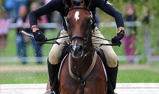 Second Chance: The Autobiography – Mark Todd (2013)