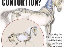 Collection or Contortion? Exposing the Misconceptions and Exploring the Truths of Horse Positioning and Bend – Gerd Heuschmann (2017)