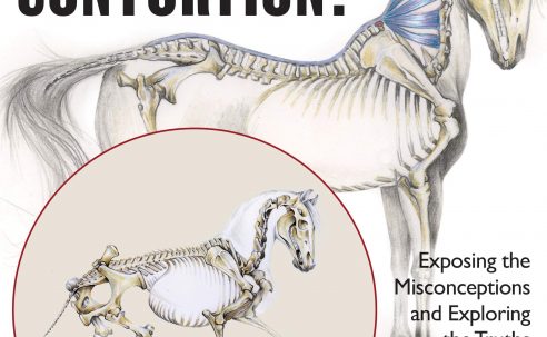 Collection or Contortion? Exposing the Misconceptions and Exploring the Truths of Horse Positioning and Bend – Gerd Heuschmann (2017)