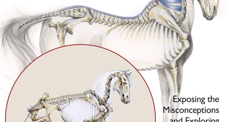 Collection or Contortion? Exposing the Misconceptions and Exploring the Truths of Horse Positioning and Bend – Gerd Heuschmann (2017)