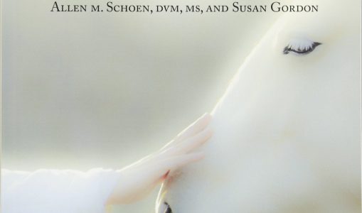 The Compassionate Equestrian: 25 Principles to Live by When Caring for and Working with Horses – Allen M. Schoen, Susan Gordon (2015)