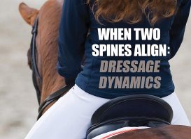 When Two Spines Align: Dressage Dynamics – Attain Remarkable Riding Rapport with Your Horse – Beth Baumert (2014)