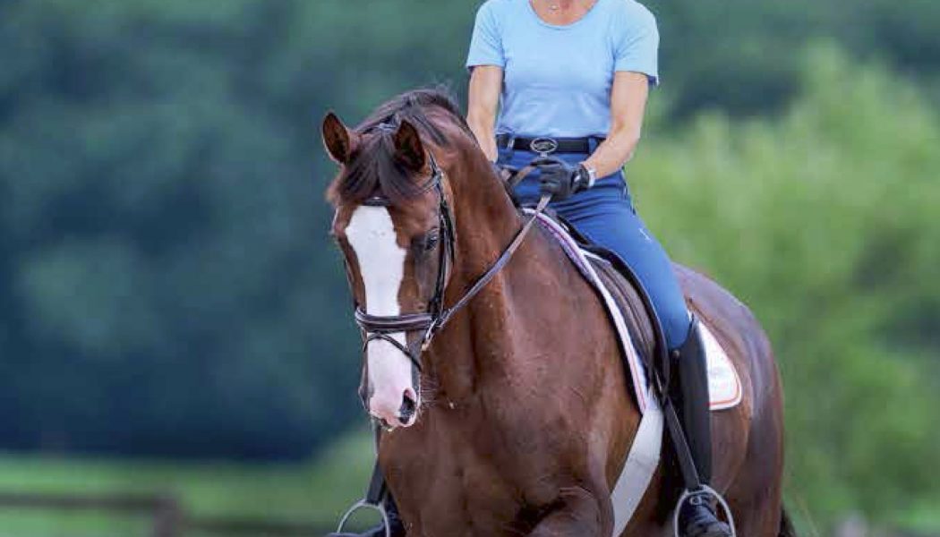 Cavalletti for Dressage and Jumping 4th Edition – Ingrid Klimke, Reiner Klimke (2018)
