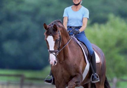 Cavalletti for Dressage and Jumping 4th Edition – Ingrid Klimke, Reiner Klimke (2018)