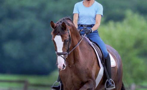 Cavalletti for Dressage and Jumping 4th Edition – Ingrid Klimke, Reiner Klimke (2018)