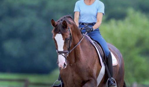 Cavalletti for Dressage and Jumping 4th Edition – Ingrid Klimke, Reiner Klimke (2018)