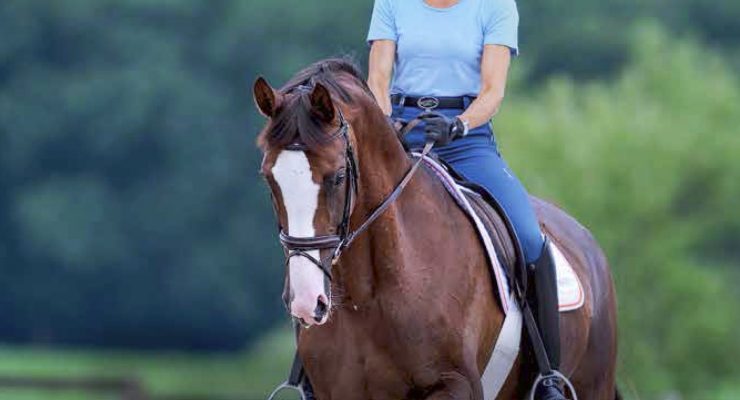 Cavalletti for Dressage and Jumping 4th Edition – Ingrid Klimke, Reiner Klimke (2018)