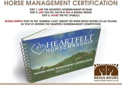 Heartfelt Horsemanship competition winner announcement!