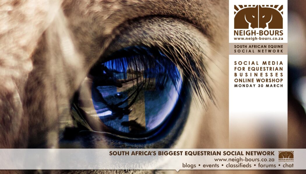 Announcing the Social Media For Equestrian Businesses Online Workshop