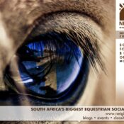 Announcing the Social Media For Equestrian Businesses Online Workshop