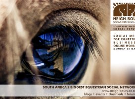 Announcing the Social Media For Equestrian Businesses Online Workshop