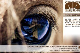 Announcing the Social Media For Equestrian Businesses Online Workshop
