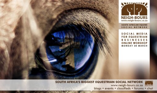 Announcing the Social Media For Equestrian Businesses Online Workshop
