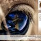 Announcing the Social Media For Equestrian Businesses Online Workshop