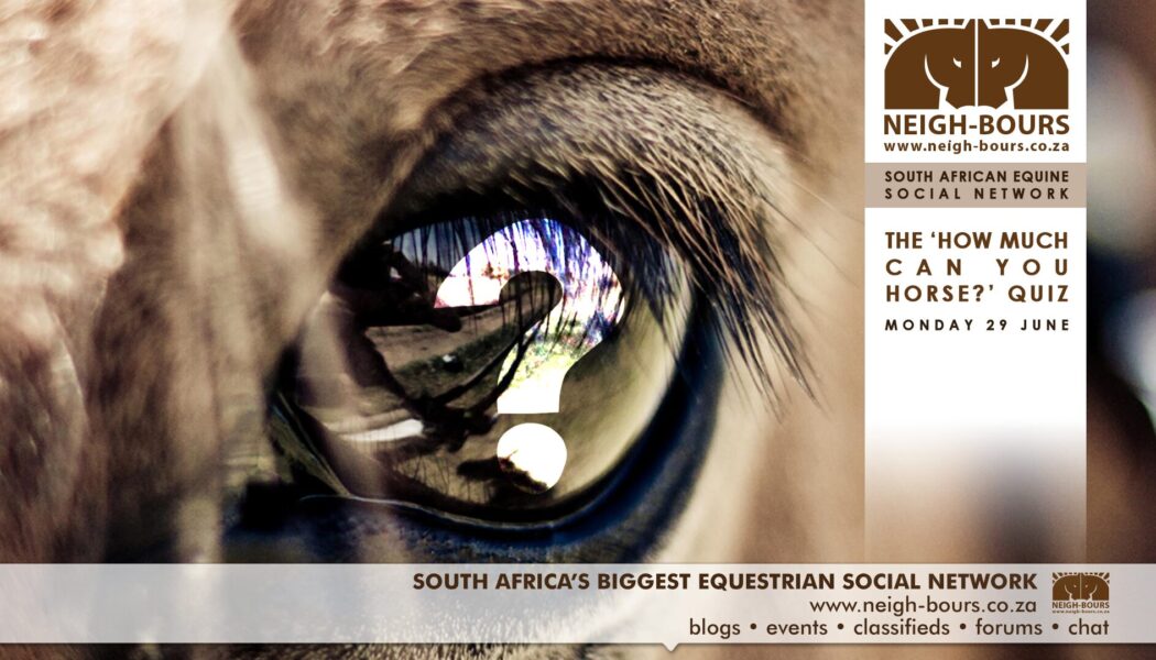 Have you booked for the “How Much Can You Horse” online quiz?