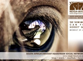 Have you booked for the “How Much Can You Horse” online quiz?