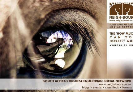 Have you booked for the “How Much Can You Horse” online quiz?