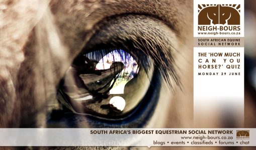Have you booked for the “How Much Can You Horse” online quiz?