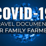 COVID-19 LEVEL 4 regulations for SA horse owners – via SAAI