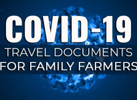 COVID-19 LEVEL 4 regulations for SA horse owners – via SAAI