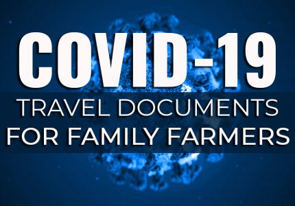 COVID-19 LEVEL 4 regulations for SA horse owners – via SAAI
